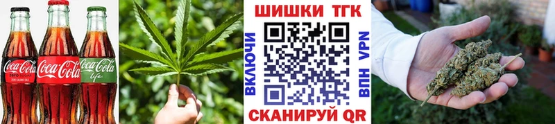 Купить где  Ковылкино  Canna-Cookies конопля 