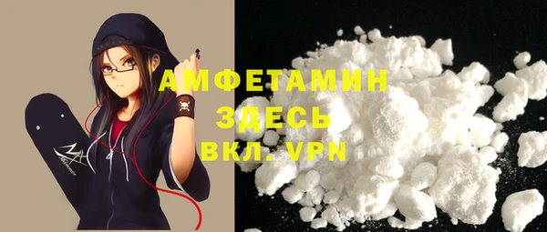 мдпв Гусь-Хрустальный