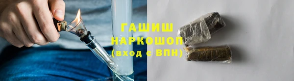 мдпв Гусь-Хрустальный
