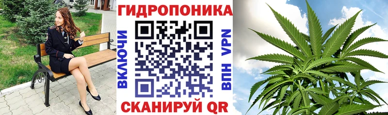 Каннабис SATIVA & INDICA  Купить закладки  Ковылкино 